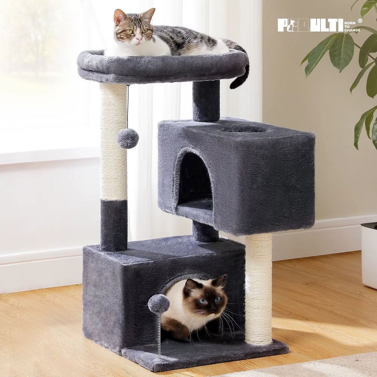 Cat Tree for Large Cats