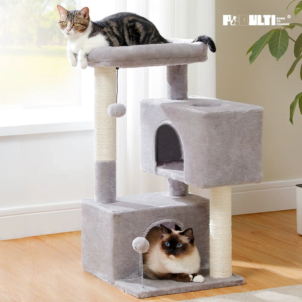 Cat Tree for Large Cats